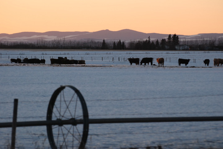 District of Vanderhoof