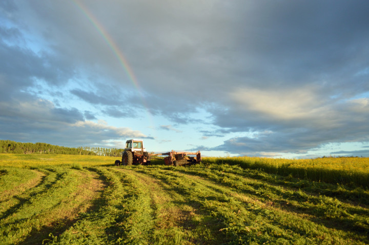 Village of Fraser Lake